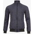 Толстовка мужская флисовая Brodeks KS241 cation, серый