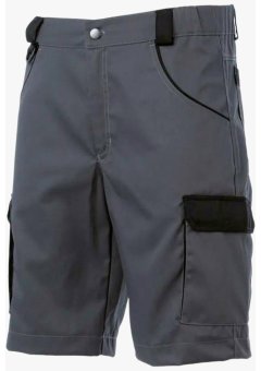 Шорты мужские Brodeks KS314, серый