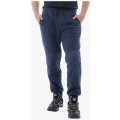 Штаны зимние мужские флисовые Brodeks KS 307, синий