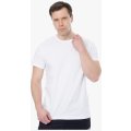 Футболка мужская Brodeks KS711, белый