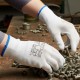 Перчатки ProfLineSpecialist нейлоновые с ПУ-покрытием, белый