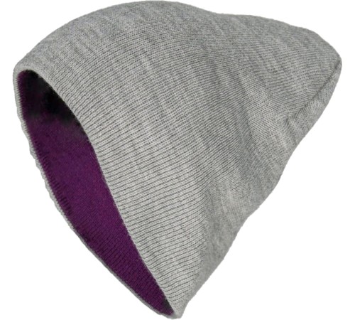 Шапка Brodeks Light Bicolor, цвет фиолетовый, серый Шапка Brodeks Light Bicolor, цвет фиолетовый, серый