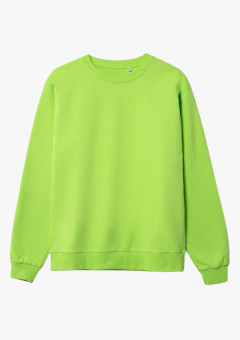 Свитшот Toima 2.0 (тк.Трикотаж,230), зеленое яблоко