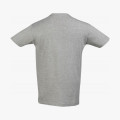 Футболка Regent 150, серый меланж