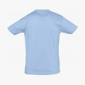 Футболка Regent 150, голубой