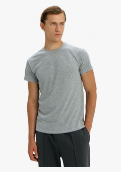 Футболка Regent 150, серый меланж