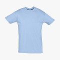 Футболка Regent 150, голубой