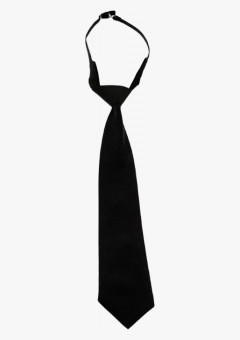 Галстук охранника, черный