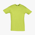 Футболка Regent 150, зеленое яблоко