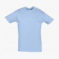 Футболка Regent 150, голубой