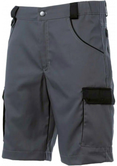 Шорты мужские Brodeks KS314, серый