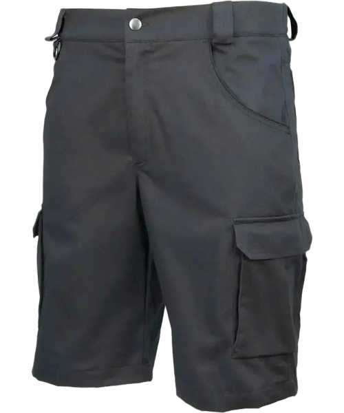 Шорты мужские Brodeks KS314-С, 100% хлопок, чёрный