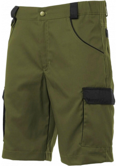 Шорты мужские Brodeks KS314, хаки
